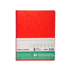 Exacompta - Piqûre comptable - 6 colonnes par page - 32 x 25 cm - 80 pages