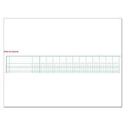 Exacompta - Piqûre comptable - 30 colonnes sur 2 pages - 25 x 32 cm - 80 pages