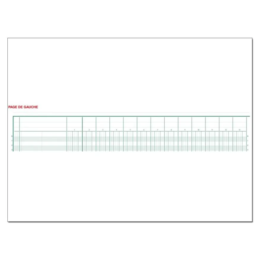 Exacompta - Piqûre comptable - 30 colonnes sur 2 pages - 25 x 32 cm - 80 pages