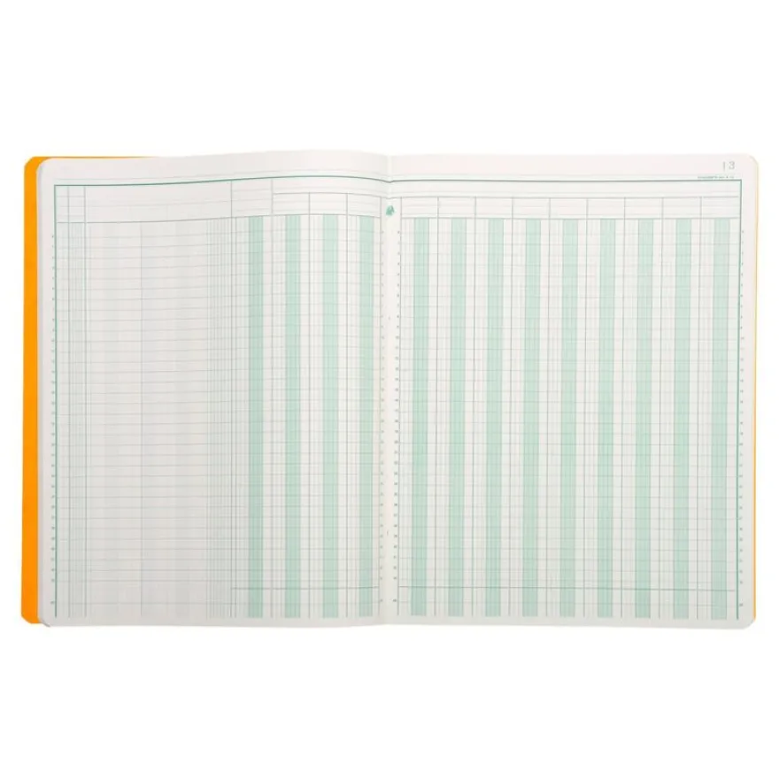 Exacompta - Piqûre comptable - 13 colonnes sur 2 pages - 32 x 25 cm - 80 pages