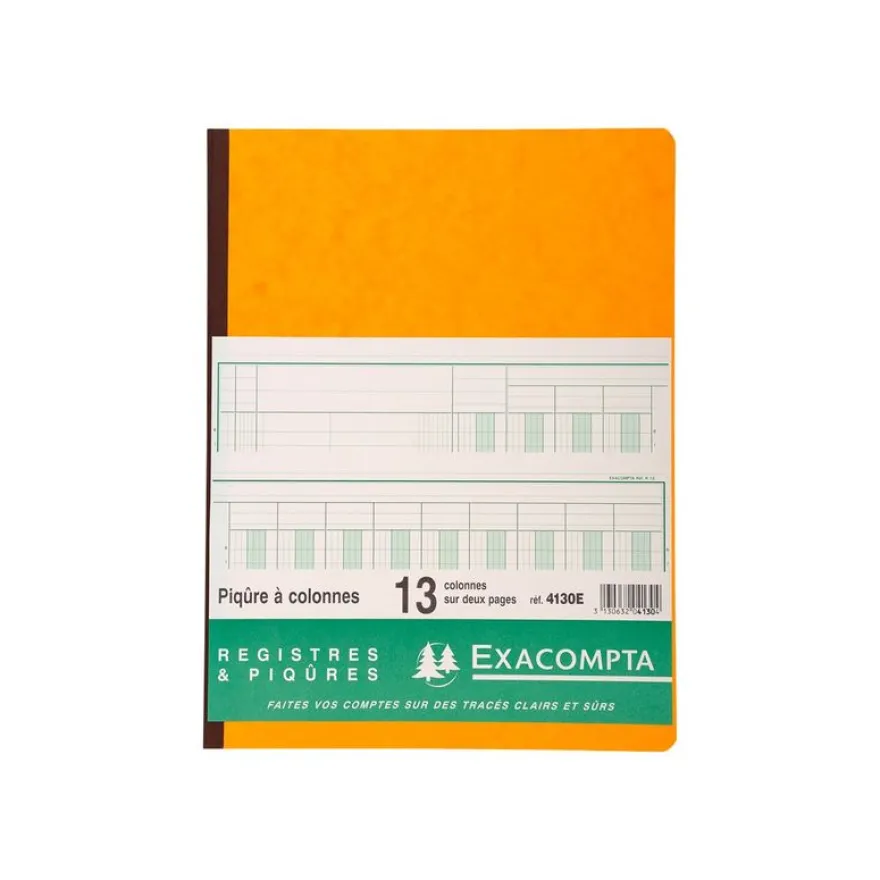 Exacompta - Piqûre comptable - 13 colonnes sur 2 pages - 32 x 25 cm - 80 pages