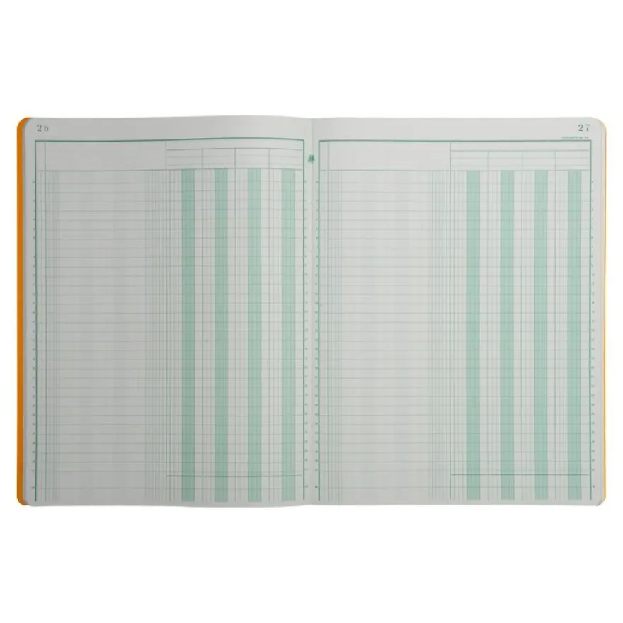 Exacompta - Piqûre comptable - 4 colonnes par page - 32 x 25 cm - 80 pages
