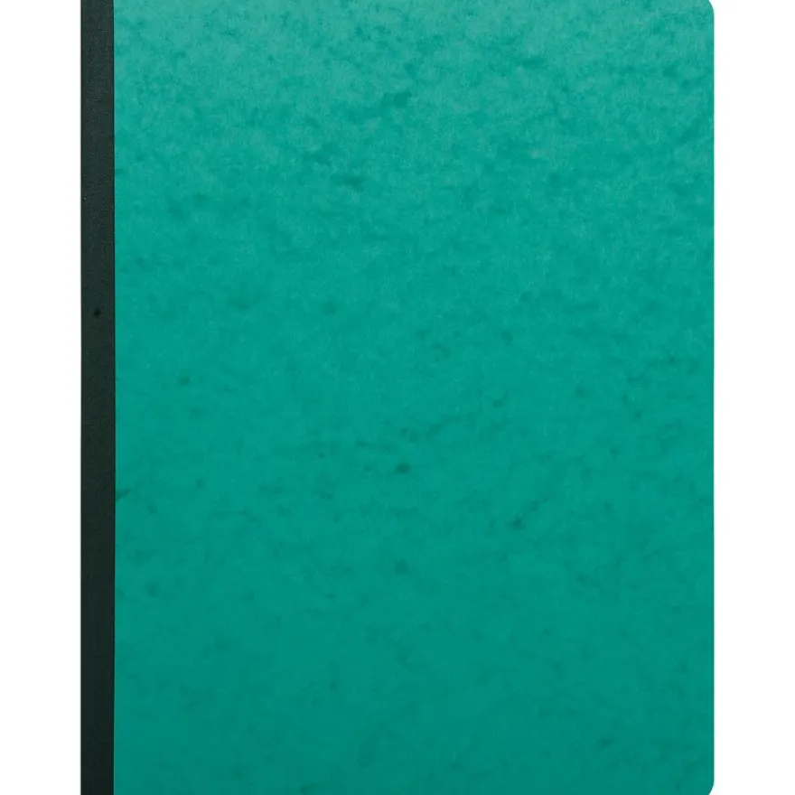 Exacompta - Piqûre journal ligné folioté - 32 x 25 cm - 80 pages