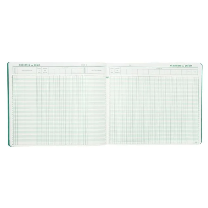 Exacompta - Piqûre Journal de caisse ou banque - 2 libellés : 6 crédits/13 débits - 27 x 32 cm