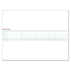 Exacompta - Piqûre tête paresseuse - 17 colonnes sur 2 pages - 27 x 32 cm