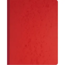 Exacompta - Piqûre tête paresseuse - 13 colonnes sur 2 pages - 32 x 25 cm - 80 pages