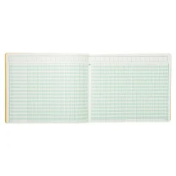 Exacompta - Piqûre tête paresseuse - 30 colonnes sur 2 pages - 27 x 32 cm