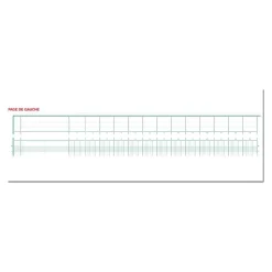 Exacompta - Piqûre tête paresseuse - 30 colonnes sur 2 pages - 27 x 32 cm