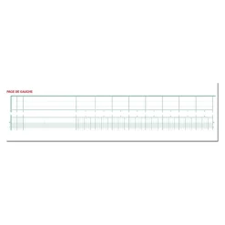 Exacompta - Piqûre tête paresseuse - 20 colonnes sur 2 pages - 27 x 32 cm