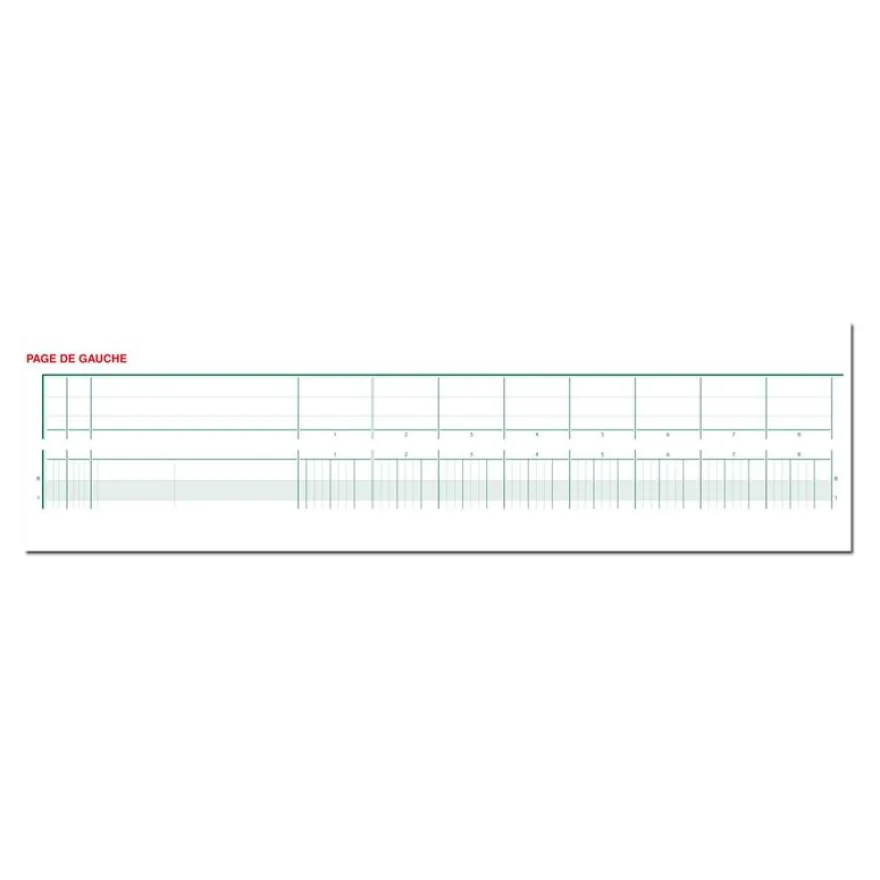 Exacompta - Piqûre tête paresseuse - 20 colonnes sur 2 pages - 27 x 32 cm
