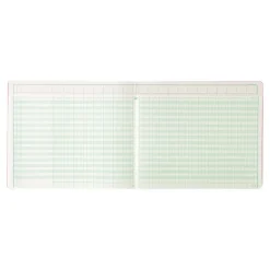 Exacompta - Piqûre tête paresseuse - 20 colonnes sur 2 pages - 27 x 32 cm