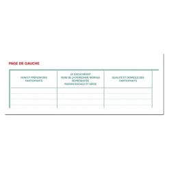 Exacompta - Registre des manifestations publiques - 32 x 19,5 cm - 80 pages