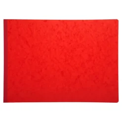 Exacompta - Registre des recettes/dépenses pour associations - 25 x 38 cm