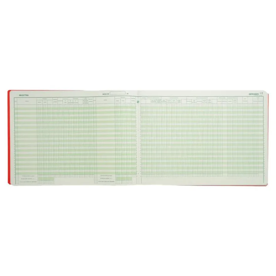 Exacompta - Registre des recettes/dépenses pour associations - 25 x 38 cm