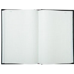 Exacompta - Registre 5x5 folioté - 36 x 22,5 cm - 500 pages
