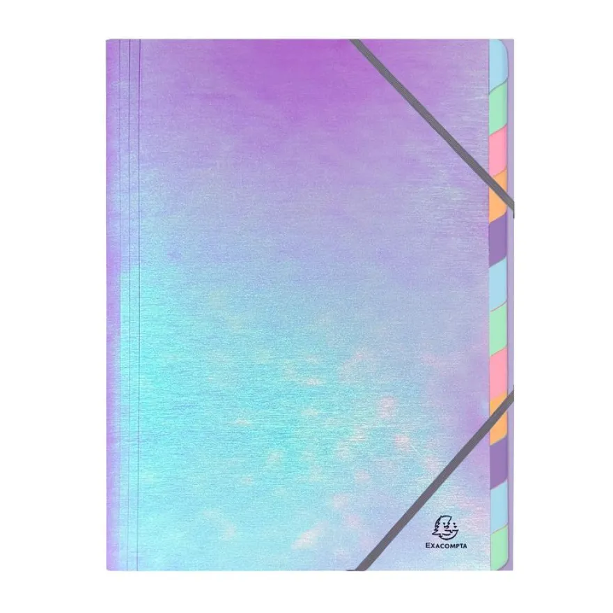 Exacompta Candy Tidy - Trieur 12 positions - A4 - disponible dans différentes couleurs