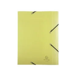 Exacompta Chromaline Pastel - Boîte de classement plastique (livrée à plat) - dos 60 mm - disponible dans différentes couleurs pastels