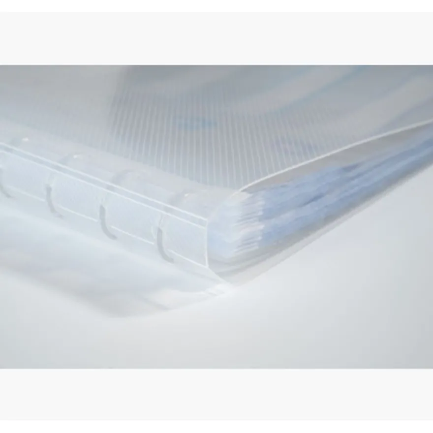 Exacompta Crystal - Protège document amovible à anneaux - 60 vues - A4
