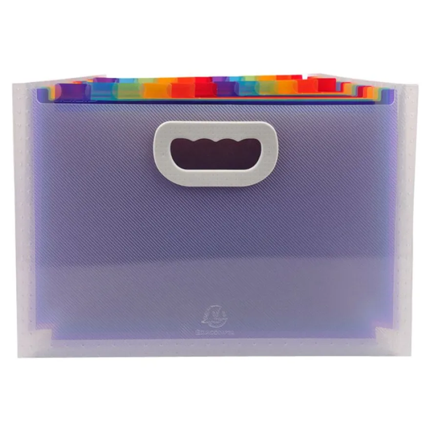 Exacompta Crystal - Trieur à soufflet 24 comp - A4 - à onglets - cristal