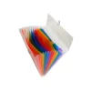 Exacompta Crystal - Valisette trieur à soufflet 13 comp - A4 - à onglets - blanc transparent