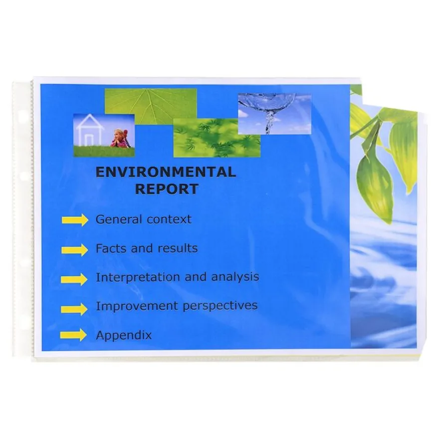 Exacompta Exactive - 20 Pochettes perforées - A4 paysage - cristal