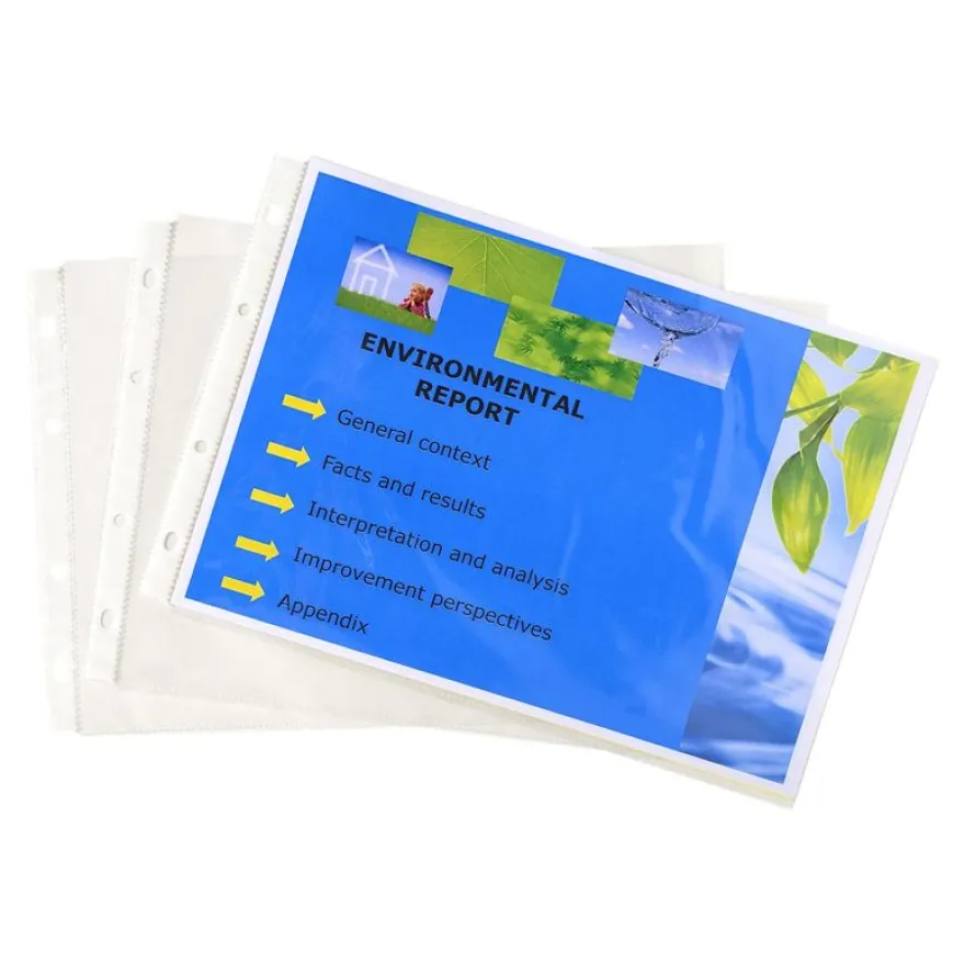 Exacompta Exactive - 20 Pochettes perforées - A4 paysage - cristal