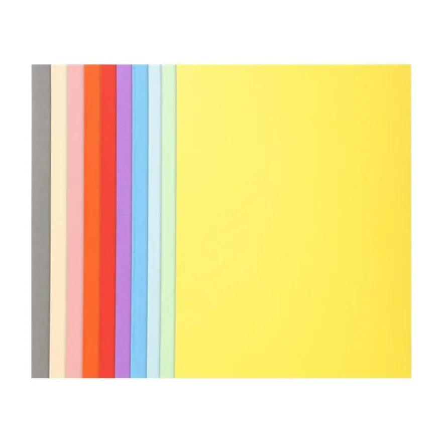 Exacompta Forever 180 - 50 Chemises - 170 gr - pour 200 feuilles - couleurs assorties