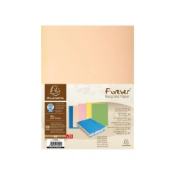 Exacompta Forever - 25 Chemises à soufflet - 320 gr - couleurs assorties
