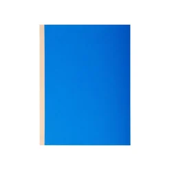 Exacompta Forever - 10 Chemises à soufflet - 320 gr - couleurs assorties