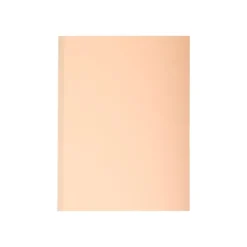 Exacompta Forever - 10 Chemises à soufflet - 320 gr - couleurs assorties
