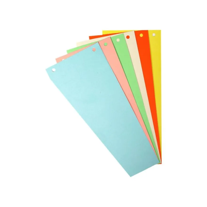 Exacompta Forever - 100 fiches intercalaires - 105 x 240 mm - couleurs assorties