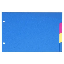 Exacompta Forever - Intercalaire 4 positions - pour fiches Bristol 14,8 x 21 cm - carte recyclée