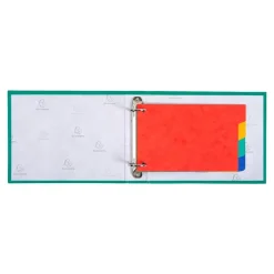 Exacompta Forever - Intercalaire 4 positions - pour fiches Bristol 10 x 15 cm - carte recyclée