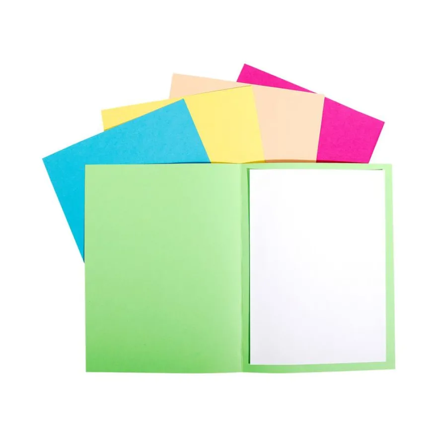 Exacompta Forever Foldyne - 100 Chemises - 170 gr - couleurs assorties
