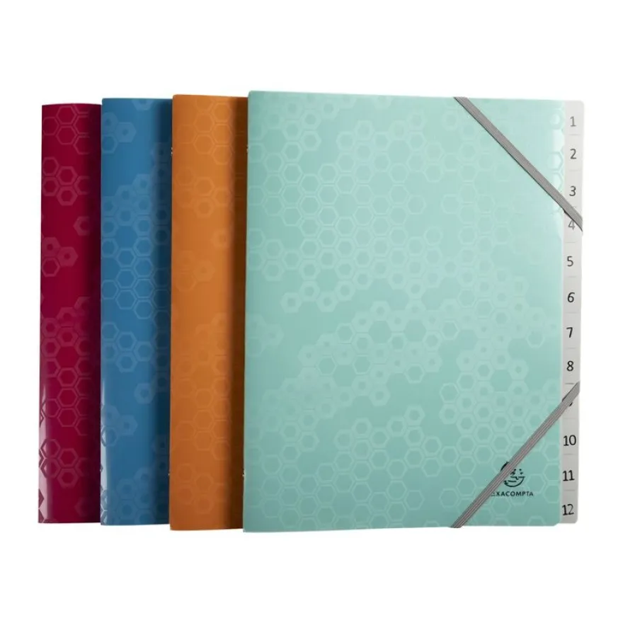 Exacompta MAÏA - Trieur 12 positions - disponible dans différentes couleurs