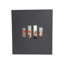 Exacompta Milano - Album photos 29 x 32 cm - 60 pages - noir
