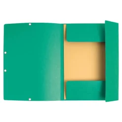 Exacompta Nature Future - 10 Chemises à 3 rabats - A4 - pour 250 feuilles - vert