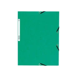 Exacompta Nature Future - 10 Chemises à 3 rabats - A4 - pour 250 feuilles - vert