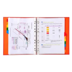 Exacompta Nature Future - Intercalaire 12 positions - A4 Maxi - carte blanche