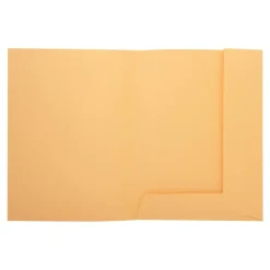 Exacompta Nature Future Jura 250 - Chemise à 2 rabats - pour A4 - capacité : 200 feuilles - crème (pack de 50)