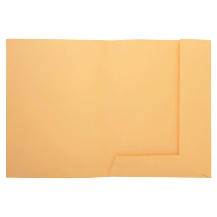 Exacompta Nature Future Jura 250 - Chemise à 2 rabats - pour A4 - capacité : 200 feuilles - crème (pack de 50)