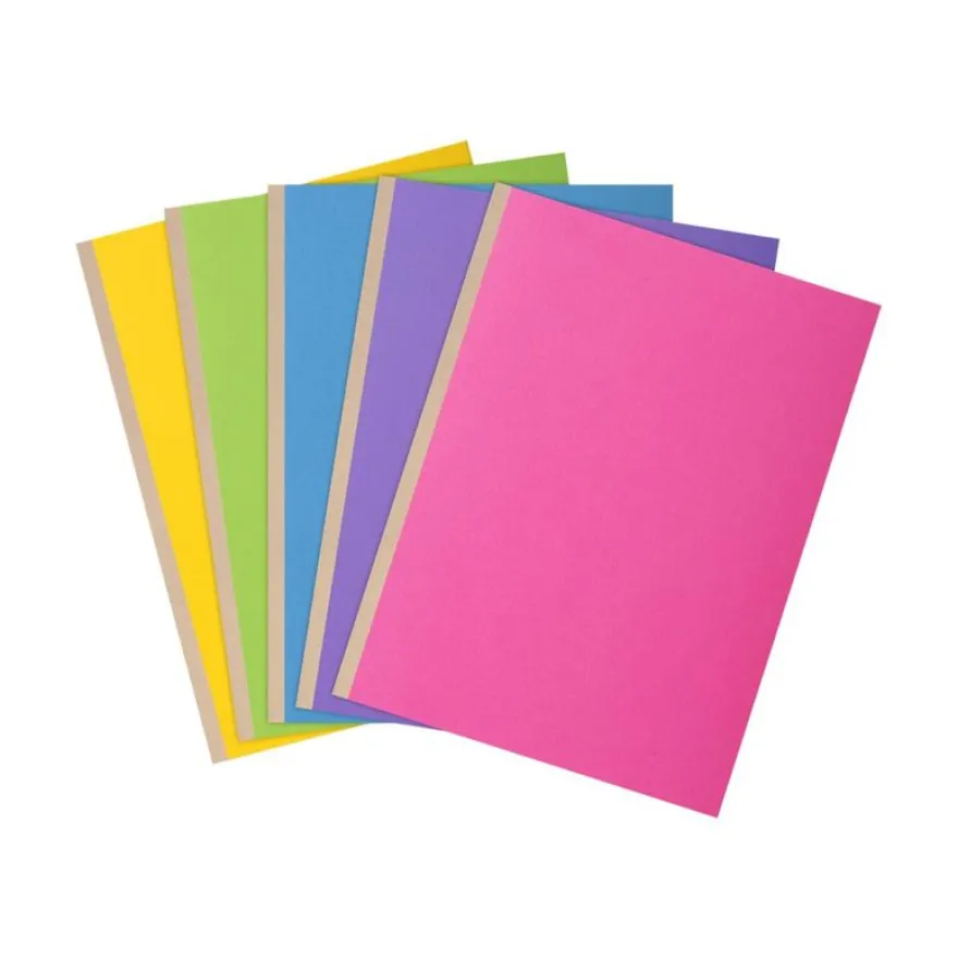 Exacompta Rock"s - 10 Chemises à soufflet - 320 gr - couleurs assorties