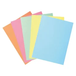 Exacompta Super 210 - 5 Chemises 2 rabats - 210 gr - couleurs pastels assorties