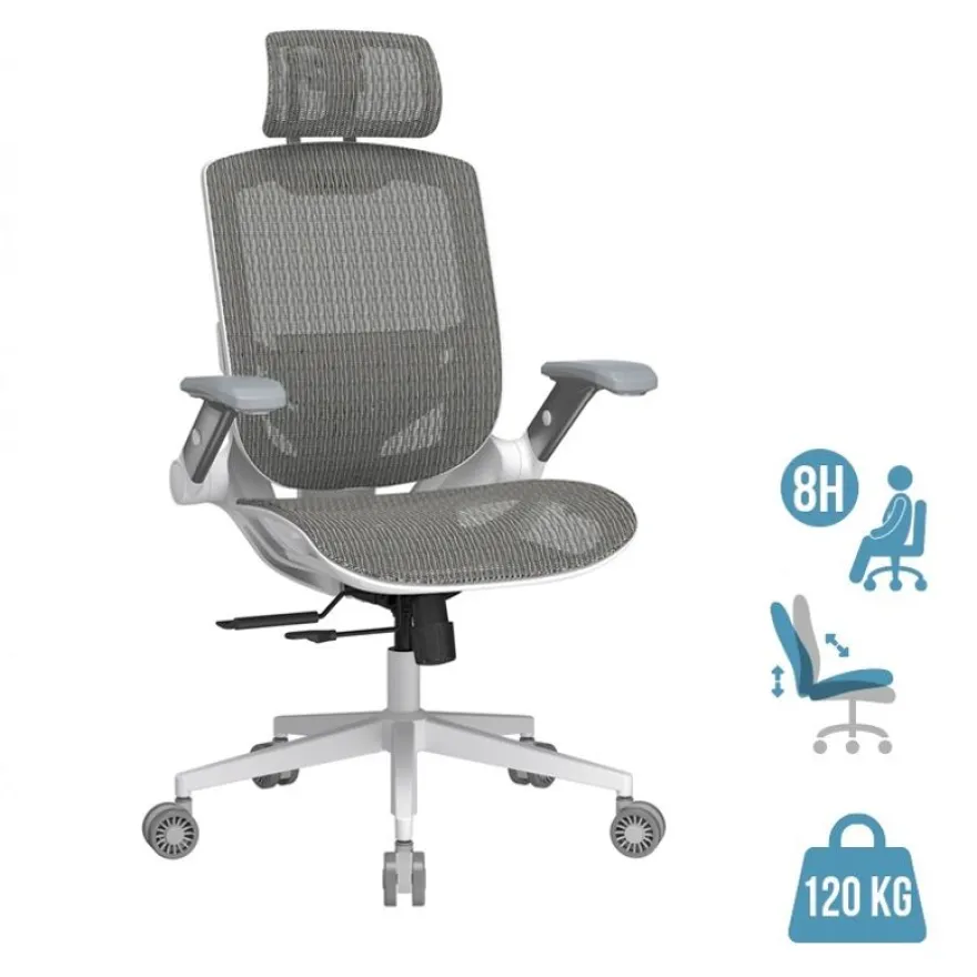 Fauteuil Cougar Speeder One - accoudoirs rabattables - appuie-tête réglable - blanc