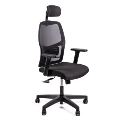 Fauteuil de bureau CALLIOPE - accoudoirs réglables - appui-tête - noir