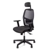 Fauteuil de bureau CALLIOPE - accoudoirs réglables - appui-tête - noir