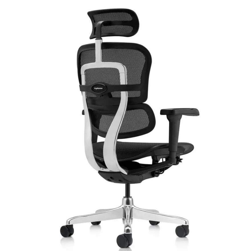 Fauteuil de bureau ERGOHUMAN Ultra - Assise résille - noir