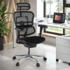 Fauteuil de bureau ERGOHUMAN Ultra - Assise tissu - noir