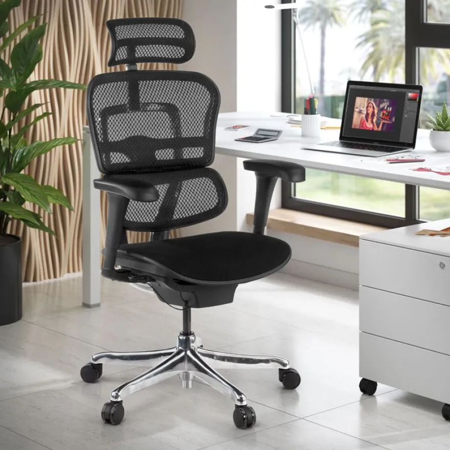 Fauteuil de bureau ERGOHUMAN Ultra - Assise tissu - noir
