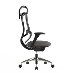 Fauteuil de bureau ERGOSTAR Ultra - accoudoirs réglables - Appui-tête réglable - noir